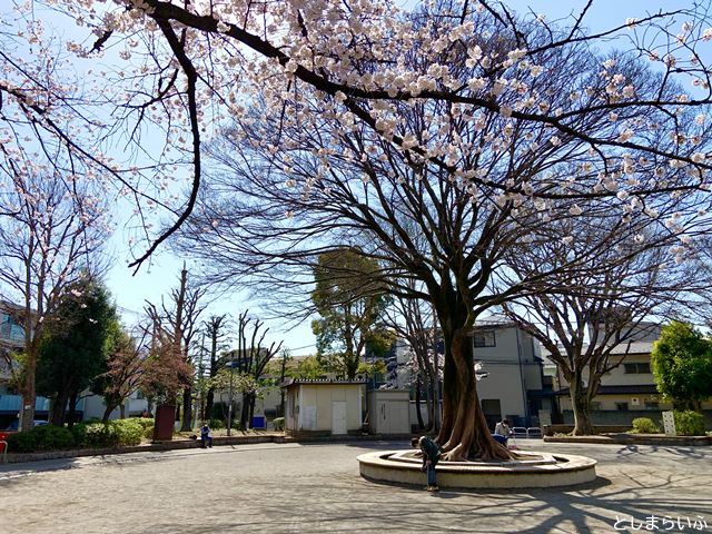 上り屋敷公園 桜