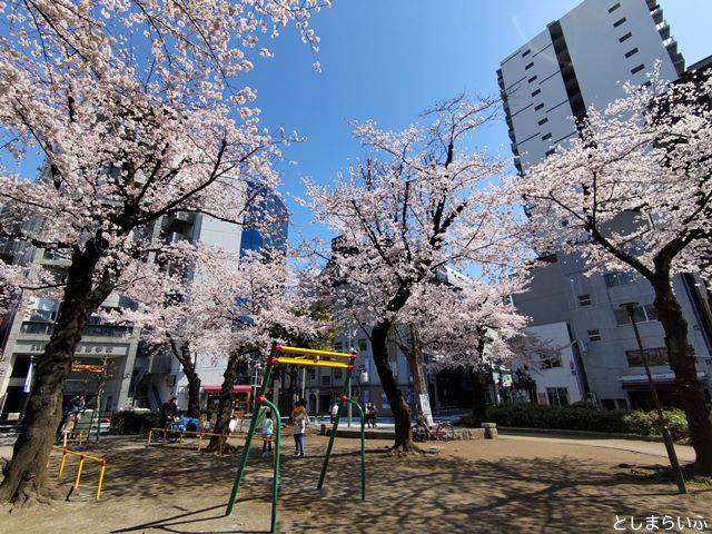 西池袋公園 桜